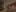 Interieur Type B Kerst